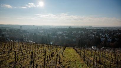 Bild: Jörg Halisch/dpa
Das Wetter wird erstmal ruhiger. (Archivbild)