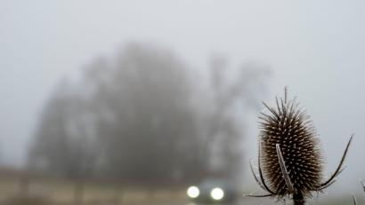 Bild: Stefan Puchner/dpa
Trübes Wetter bestimmt den Samstag in weiten Teilen des Freistaats. (Archivbild)