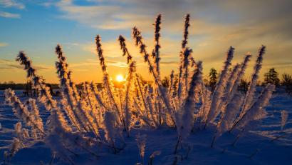 Bild: Patrick Pleul/dpa
Sonne und kalte Luft erwarten die Meteorologen zum Wochenbeginn. (Archivbild)