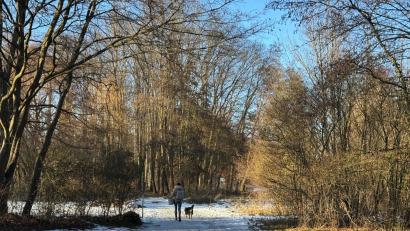 Bild: Heike Unger
Auf der Kräuterwiese hat die Amberg jetzt eine neue Technik zur Baumerfassung und -analyse ausprobiert – und ist begeistert.