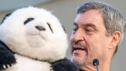Bild: Peter Kneffel/dpa
Noch hat Söder (r) nur einen Plüschbären in seinem Büro, doch spätestens 2028 soll es echte Tiere in München geben.