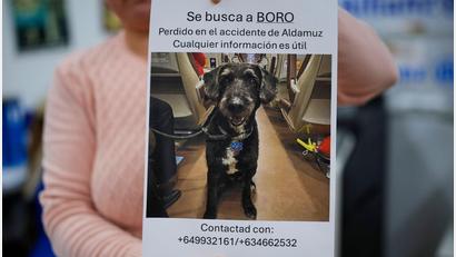 Bild: Manu Fernandez/AP/dpa
Über diese Familienzusammenführung freut sich ganz Spanien.