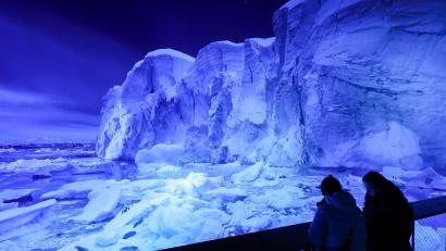 Bild: Jan Woitas/dpa
Die eisige und faszinierende Welt der Antarktis wird als 360-Grad-Bild gezeigt