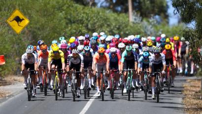 Bild: Matt Turner/AAP/dpa
Zwei Kängurus lösten auf der letzten Etappe der Tour Down Under einen Crash aus.