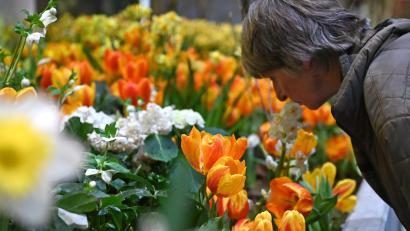 Bild: Elisa Schu/dpa
Die Besucherzahl auf der diesjährigen Woche übertraf die Erwartungen deutlich. (Archivbild)