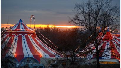 Bild: Klaus-Dietmar Gabbert/dpa-Zentralbild/ZB
Zirkusbetriebe müssen an die Gema zahlen. (Symbolbild)