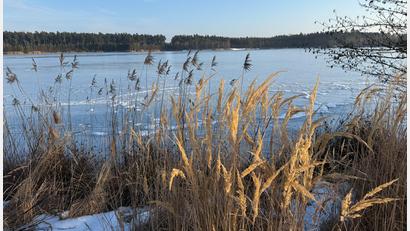 Bild: Gabi Schönberger
Still und starr ruht der See: Die Pläne für das "NEW-SeeLAND" am Dießfurter Freizeitsee liegen auf Eis.