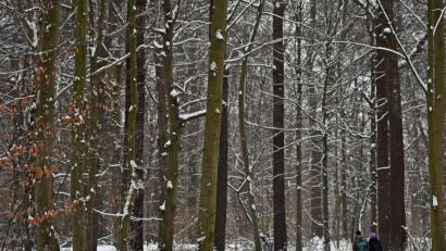 Bild: Shireen Broszies/dpa
Auch am Donnerstag kann es gebietsweise schneien.