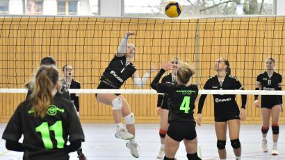 Bild: Hubert Ziegler
Katharina Winkler vom SV Hahnbach beim Schmetterball: Die Hahnbacher U18-Volleyballerinnen wurden bei der Bezirksmeisterschaft Zweiter und qualifizierten sich für die "Nordbayerische".