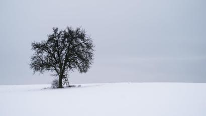 Symbolbild: Nicolas Armer/dpa
Schneebedeckte Landschaft bei Hochnebel – typisch für das bevorstehende Winterwochenende.