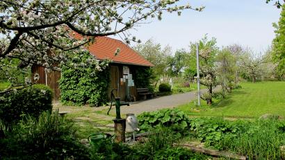 Bild: Fred Lehner
Ein Blick in den Kreislehrgarten „Garten der Sinne“ des Obst- und Gartenbauvereins Floß.