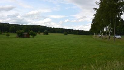 Bild: jr
Auf Ablehnung im Gemeinderat stieß der geplante Bürgersolarpark Pechbrunn, der auf dieser rund 9,66 großen Fläche hätte entstehen sollen. Rechts im Bild die Staatsstraße von Pechbrunn in Richtung Konnersreuth.