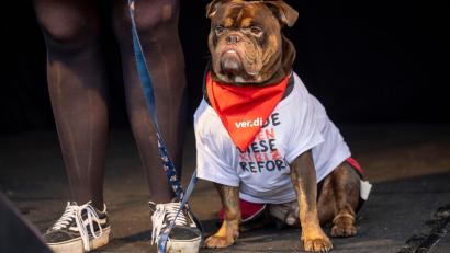 Bild: Thomas Banneyer/dpa
Hund Henry beim Verdi-Streik