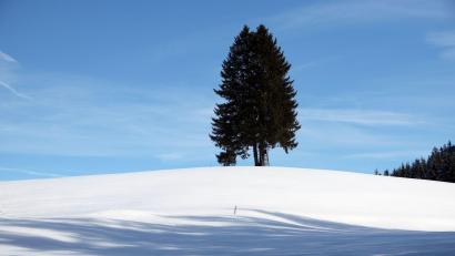 Bild: Karl-Josef Hildenbrand/dpa
Nur in den höheren Lagen zeigt sich die Sonne.