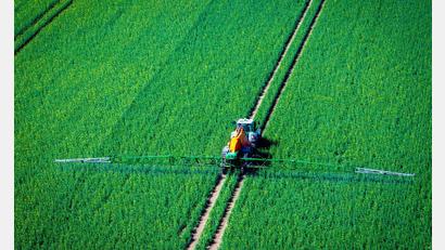 Bild: Jens Büttner/dpa
Pflanzenschutzmittel belasten Nützlinge im Boden (Archivbild)