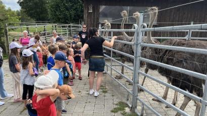 Bild: Simon Schönberger
Der Besuch der Straußenfarm in Kotzenbach ist auch in diesem Jahr ein Highlight im Püchersreuther Ferienprogramm.