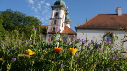 Bild: do
Das Kloster Speinshart bietet ab sofort eine digitale Kirchenführung per App an.
