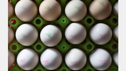 Bild: Karl-Josef Hildenbrand/dpa
Das heimische Futter reicht nicht, um die Nachfrage nach Bio-Eiern zu bedienen. Deshalb sind die Bauern auf Importe angewiesen. (Symbolbild)