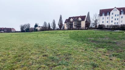 Bild: Stephan Huber
Zwischen Loderhof- und Mozartstraße entsteht ein neues Baugebiet. Nach aktuellem Planungsstand geht es Ende 2026 los, vorgesehen sind 22 Parzellen – die Zahl kann sich jedoch noch geringfügig ändern, sagt der Stadtbaumeister.