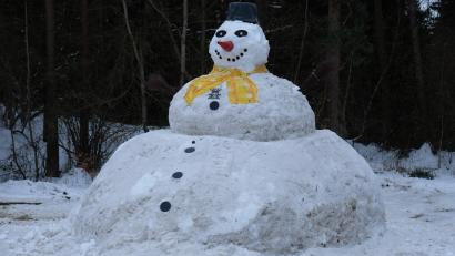 Bild: do
Nach seiner Fertigstellung: Der Koloss von Apfelbach.