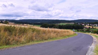 Bild: ubb
Vom Wiesauer Kreuzberg aus gesehen würden Windkraftanlagen das Landschaftsbild im geplanten Vorranggebiet TIR29 erheblich verändern. Links liegt Fuchsmühl, rechts im Tal Triebendorf am Fuße des Teichelbergs. Das dreifach geschützte Naturschutzgebiet liegt weiter rechts und ist nicht direkt betroffen. Jedoch dürfen Windkraftanlagen mit einem Abstand von 500 bis 1000 Metern an geschützte Gebiete heran gebaut werden.