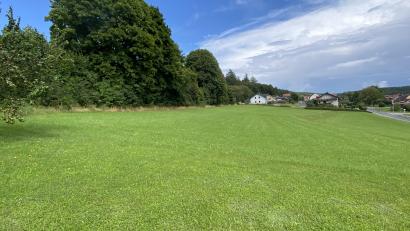 Bild: Josef Glas
Die Busch- und Baumreihe soll zur Wasserrückhaltung auf alle Fälle erhalten werden.