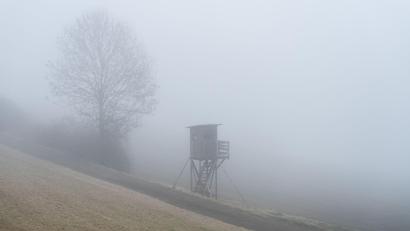 Bild: Silas Stein/dpa
In vielen Teilen Bayerns wird Nebel erwartet.
