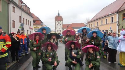 Archivbild: rha
Die Ebersbacher Bruchpiloten beim Faschingszug in Vilseck. Das Bild entstand 2024.
