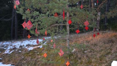 Bild: bö
Handgemachte Anhänger in unterschiedlichen Größen hängen in Bäumen am Weg zum Hohenburger Urnenwald.