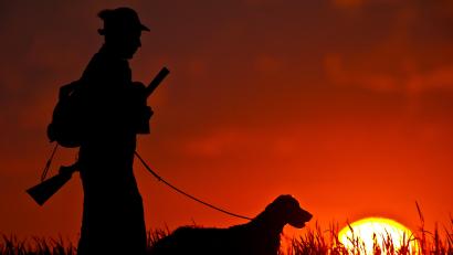 Symbolbild: Patrick Pleul/dpa
Die Staatsregierung hat ihren internen Streit über ein neues Jagdgesetz für Bayern beigelegt.
