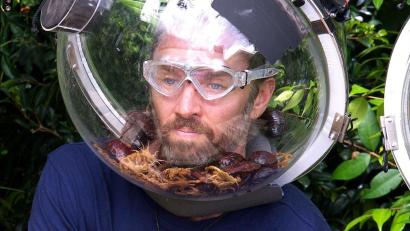 Bild: RTL/dpa
Auch das krabbeligste Getier konnte ihn nicht stoppen: Musiker Gil Ofarim ist Dschungelkönig.