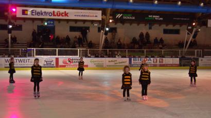 Bild: Valerie Preiß
Kleine Bienen schwirrten zu Beginn über die Eisfläche.