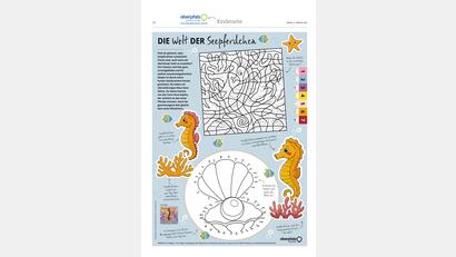 Bild: Oberpfalz Medien
Malen und Rätseln.