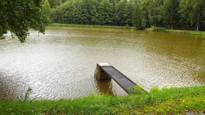 Bild: Bernhard Kreuzer
Auf der gegenüberliegenden Seite des Weihers, den ein Erlenwald markiert, sieht die Bauvoranfrage die Fischzuchtanlage vor.