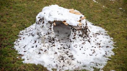 Bild: Pia Bayer/dpa
Auch die größten Bauwerke aus Schnee und Eis verlieren irgendwann den Kampf gegen milde Temperaturen. (Symbolbild)