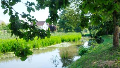 Bild: do
Seit Jahren wird über den ökologischen Umbau der Creußen im Bereich Tremmersdorf gesprochen. Eine neue Testserie zielt darauf ab, Sedimentmaterial zu entnehmen und den Aushub auf einem Gelände nahe des Flusslaufes auf seine Entwässerungs- und Tragfähigkeit für den Wiedereinbau zu untersuchen.