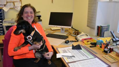 Bild: Thorsten Schreiber
Pfarrerin Mareike Kraemer an ihrem künftigen Arbeitsplatz im evangelischen Pfarrhaus am Büttellochweg in Tirschenreuth. Dort ziehen die 38-Jährige und ihre Dackelmischlingshündin "Popcorn" bald ein.