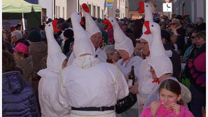 Archivbild: Franz Völkl
Beim Gänsemarsch 2025: Gänsegeschnatter vor der "Verräterklause" in Waldthurn.