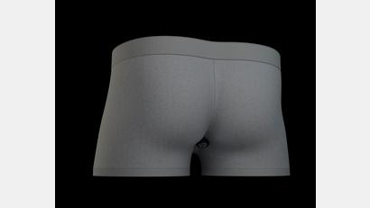 Bild: Brantley Hall/University of Maryland/dpa
Modell der smarten Unterhose