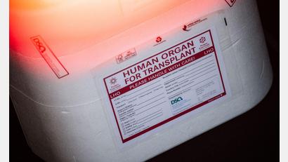 Bild: Sebastian Gollnow/dpa
In Neapel braucht der kleine Junge dringend ein neues Spenderherz. (Symbolbild)