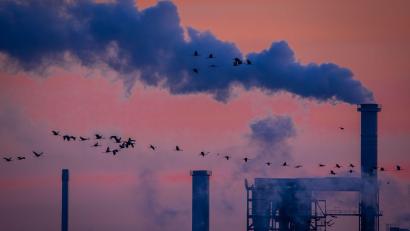 Bild: Jens Büttner/dpa
Die deutsche Industrie hat 2025 Umsatz eingebüßt (Archivbild)