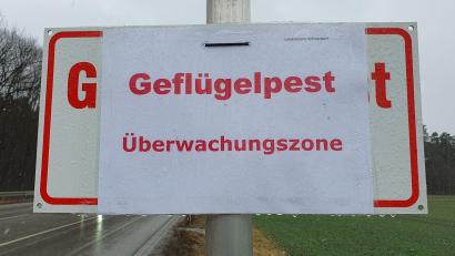 Archivbild: Hösamer
Ein Warnschild zeigt: Auch früher gab es schon eine Ausbreitung der Seuche im Landkreis Schwandorf.