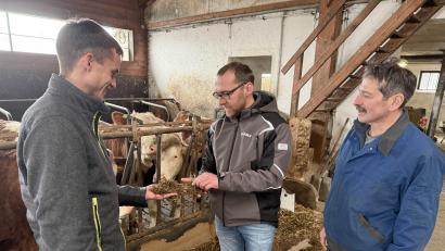 Bild: Gabi Schönberger
Ein Besuch im Öko-Kuhstall: Bio-Bauer Thomas Hösl (Mitte) mit seinem Vater Erwin (rechts) und Mathias Beutner, Pflanzenbauberater beim AELF Tirschenreuth-Weiden.