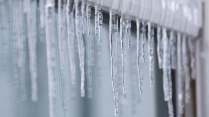 Symbolbild: Matthias Bein/dpa
Volontärin Jasmin findet die Winterlandschaft zwar schön, freut sich aber trotzdem schon auf die wärmere Zeit im Jahr.