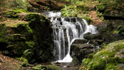 Archivbild: Gästeinformation Bad Neualbenreuth
Besonders gut kommen kommt laut Sabrina Busch bei Gästen und Touristen unter anderem die intakte Naturlandschaft mit weiten Wald- und Wasserlandschaften an, zu der auch der Muglbach-Wasserfall zählt.
