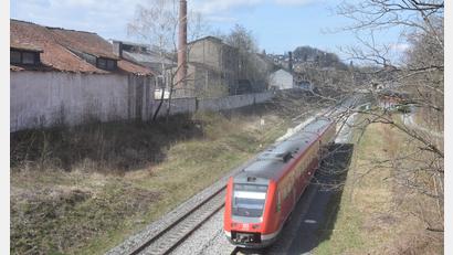 Archivbild: fz
Die ehemaligen Hofbauer-Gebäude in Altenstadt/WN werden abgebrochen.