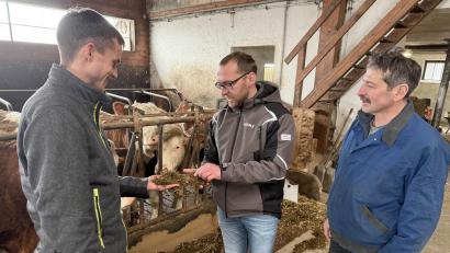 Bild: Gabi Schönberger
Ein Besuch im Öko-Kuhstall: Bio-Bauer Thomas Hösl (Mitte) mit seinem Vater Erwin (rechts) und Mathias Beutner, Pflanzenbauberater beim AELF Tirschenreuth-Weiden.