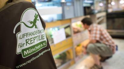 Bild: picture alliance / dpa
In der Auffangstation für Reptilien sollen die Schlangen jetzt aufgepäppelt werden - wenn es dafür nicht zu spät ist (Archivbild).