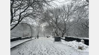 Bild: Christina Horsten/dpa
In New York legt der viele Schnee das öffentliche Leben lahm.