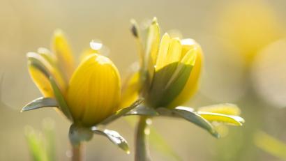 Bild: Sebastian Kahnert/dpa
Manche Menschen reagieren stärker als andere auf Wetteränderungen. (Symbolbild)